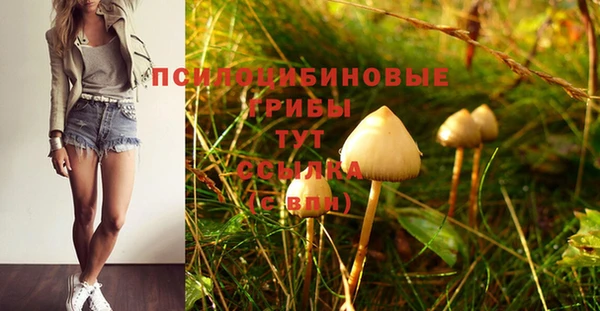 прущие крисы Нефтекумск
