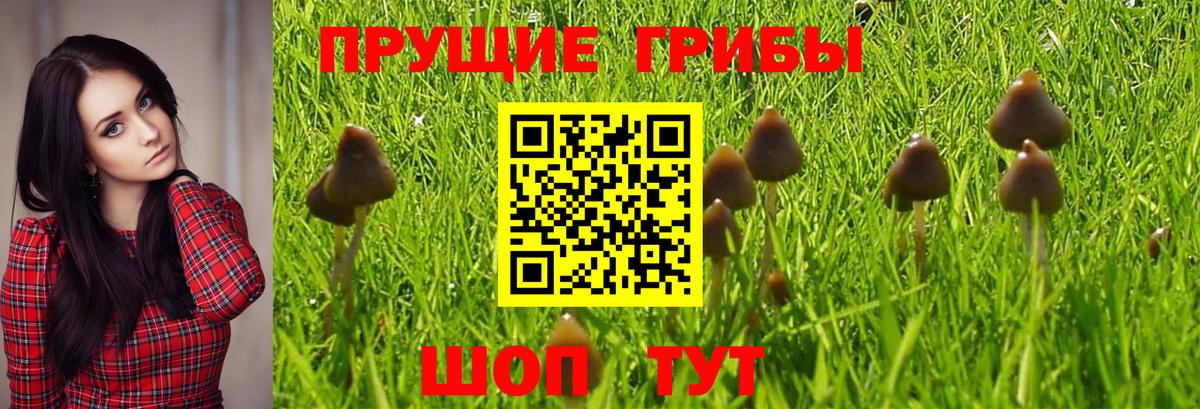 Галлюциногенные грибы Psilocybine cubensis  Псилоцибиновые грибы ЛСД  Вход с VPN  Десногорск 