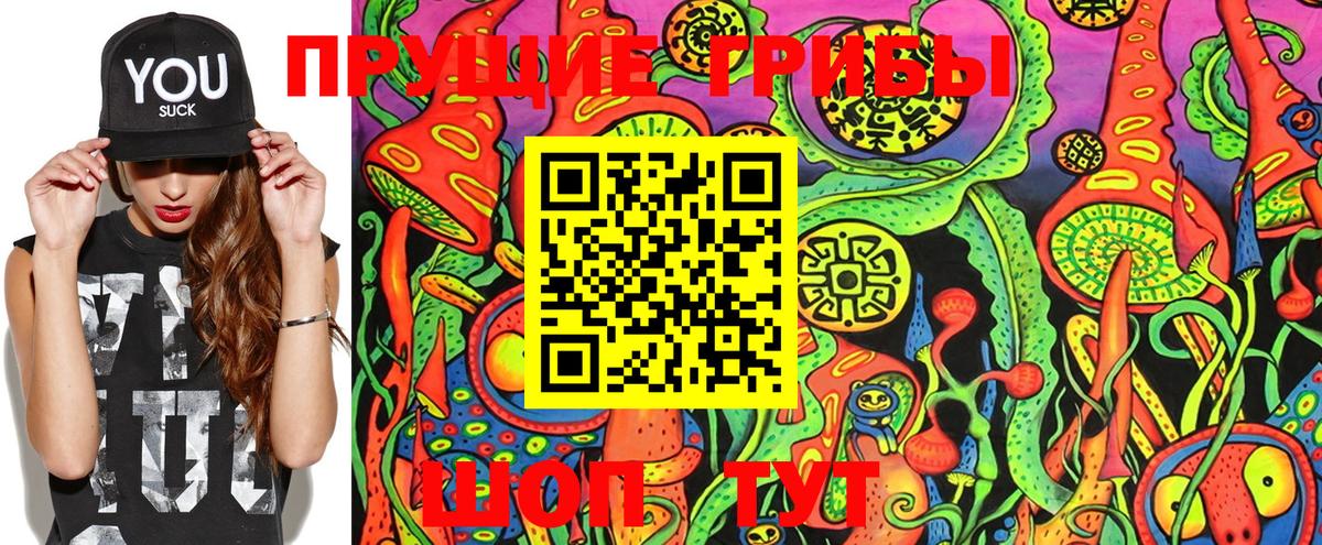 купить   Десногорск  Галлюциногенные грибы Cubensis  Псилоцибиновые грибы Psilocybe 